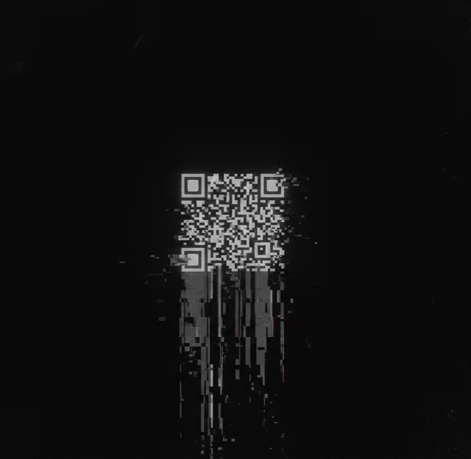 ST0CH4ST1C BlackFlag collection artwork